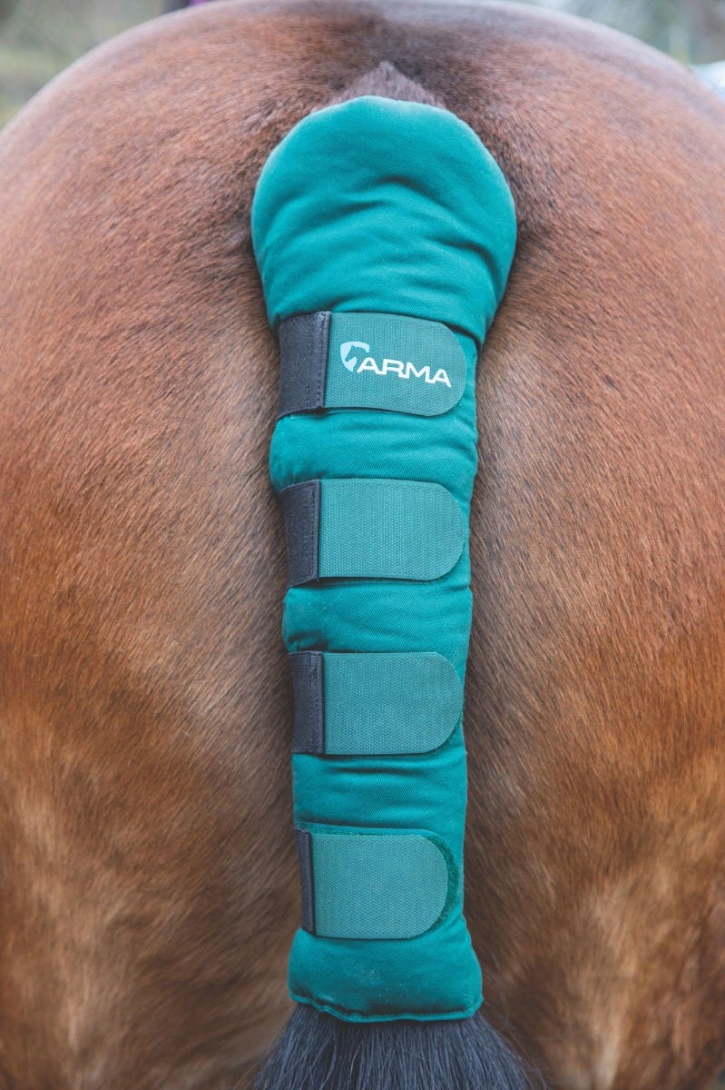 ARMA Padded Tail Guard - Image 4