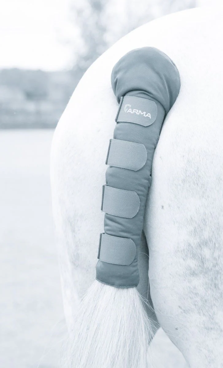 ARMA Padded Tail Guard - Image 5