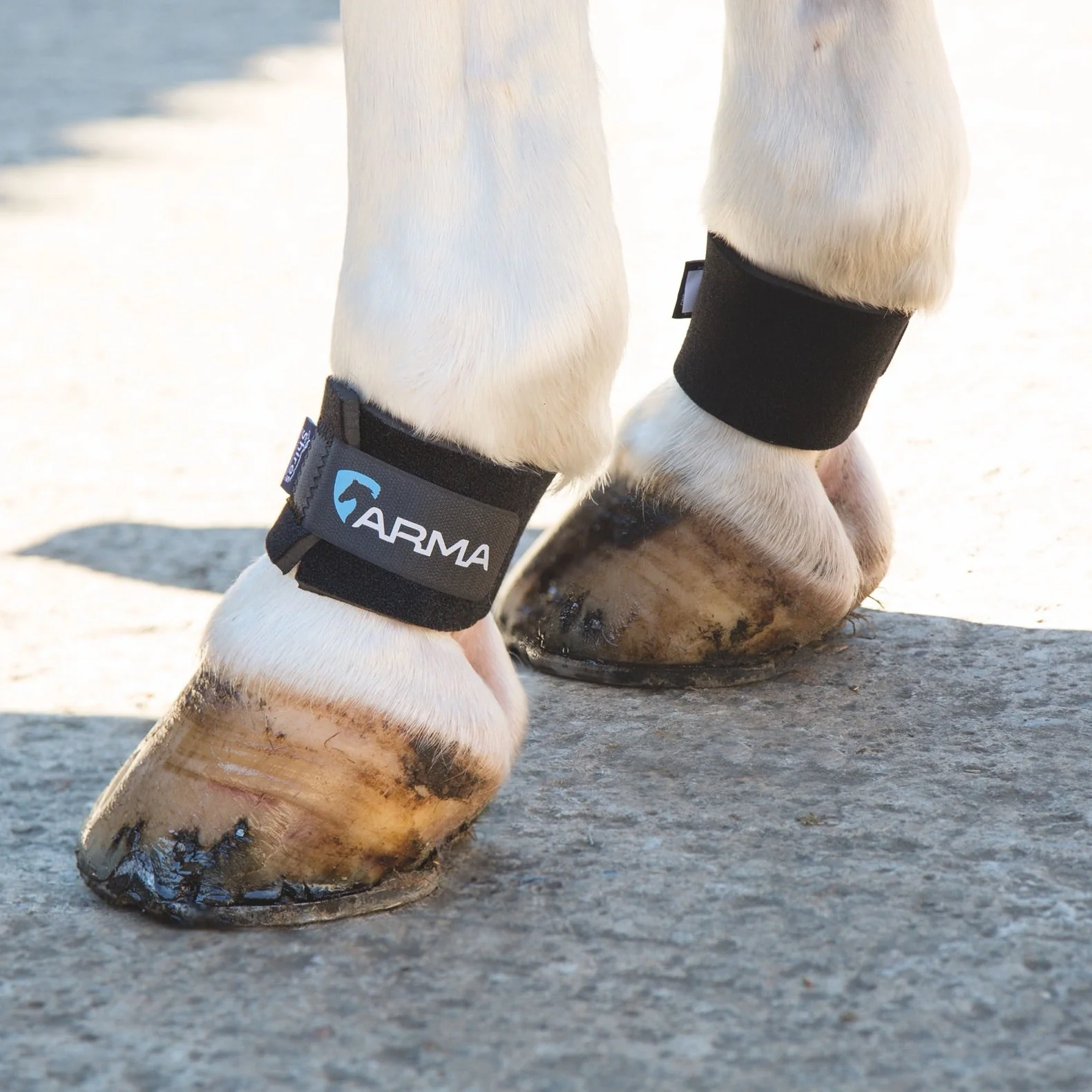 ARMA Pastern Wraps - Image 2