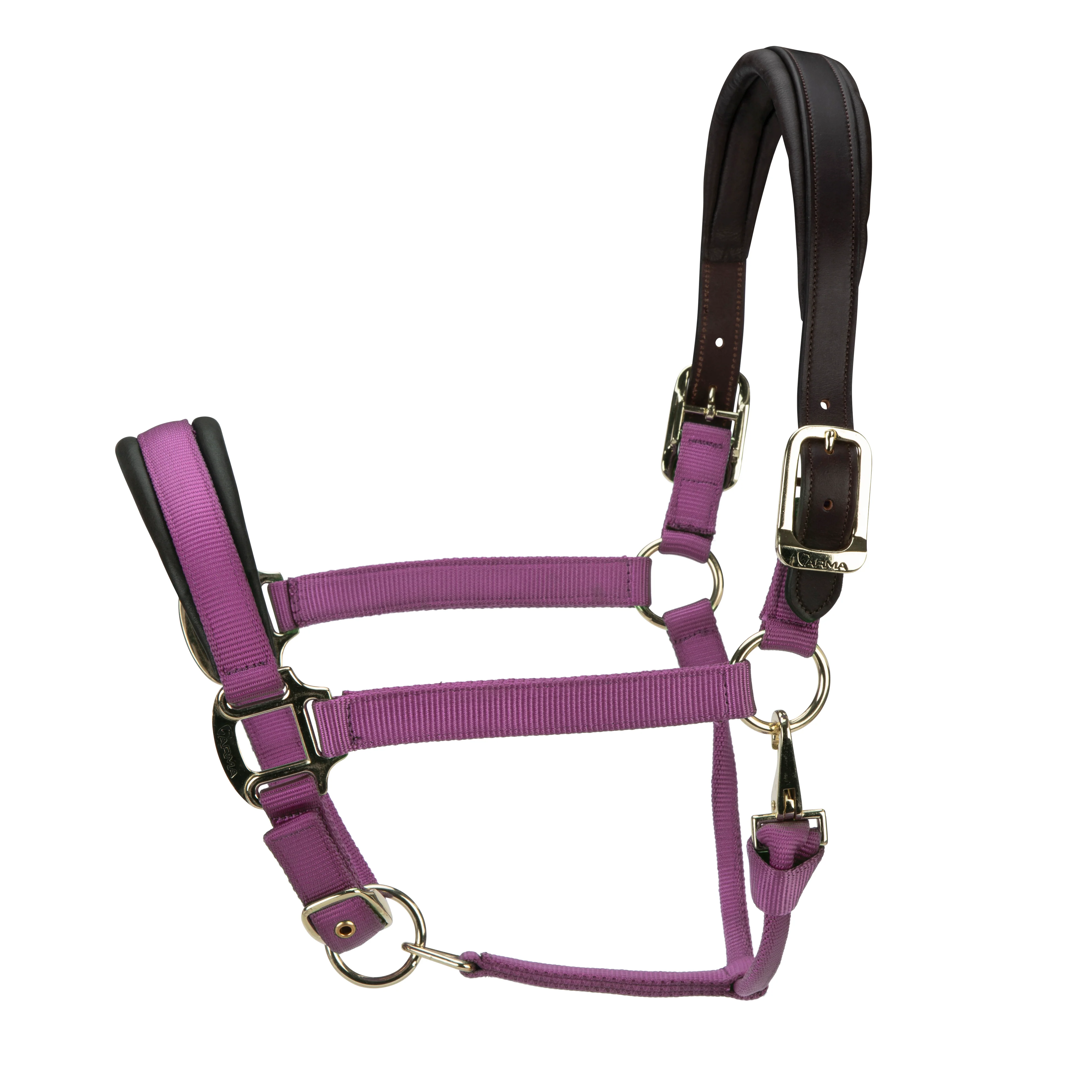 ARMA Premium Nylon Halter with Leather Padding - Image 12