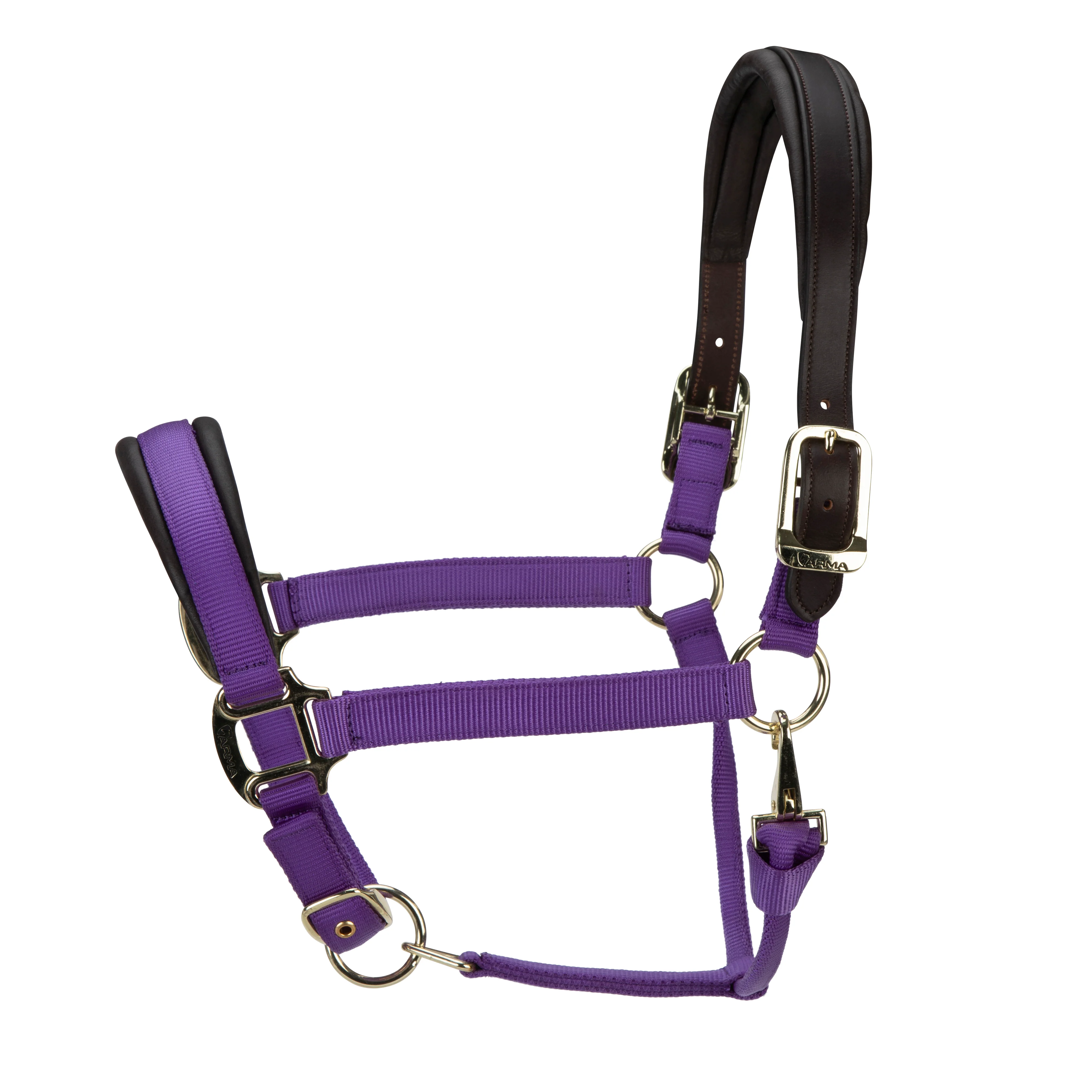 ARMA Premium Nylon Halter with Leather Padding - Image 15