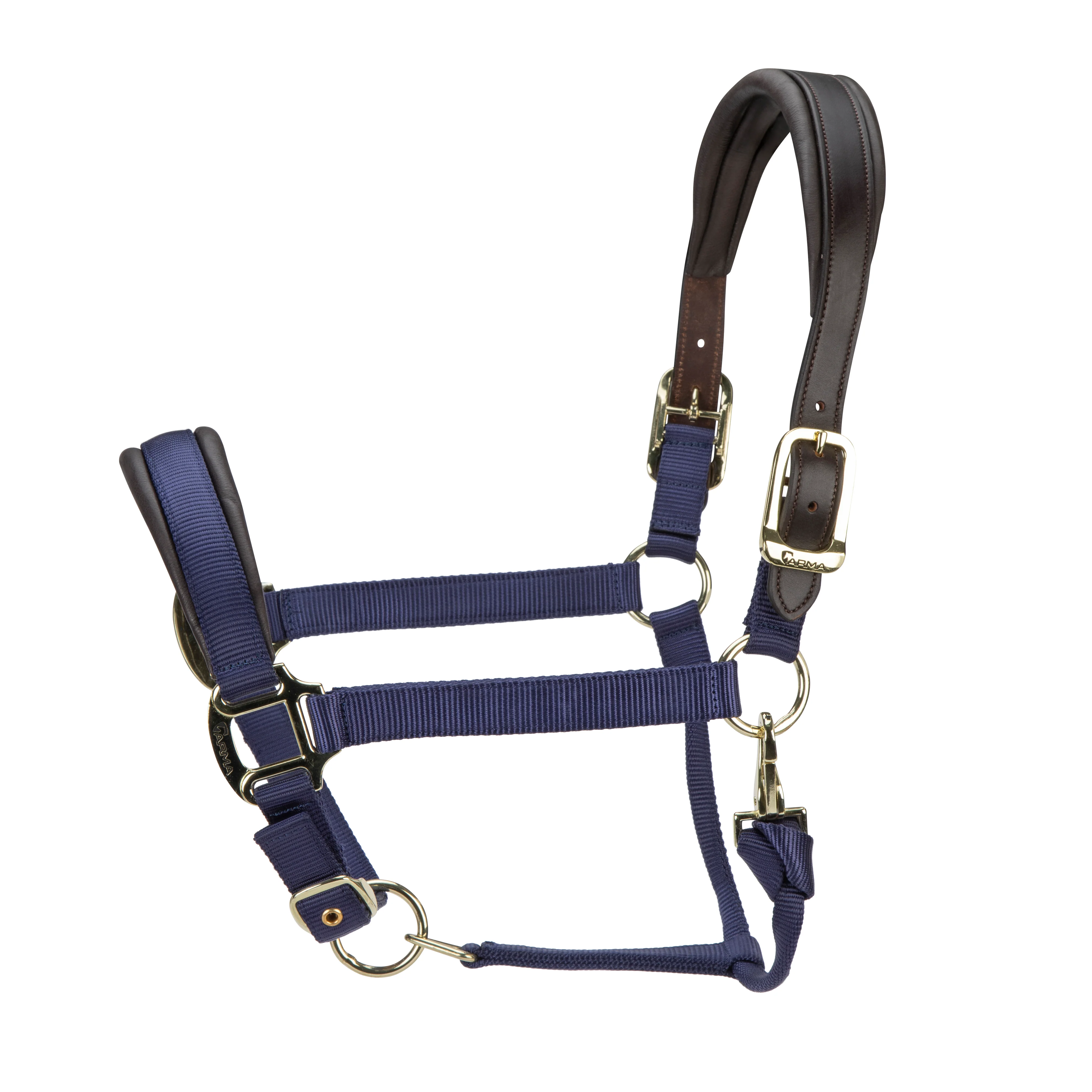 ARMA Premium Nylon Halter with Leather Padding - Image 4