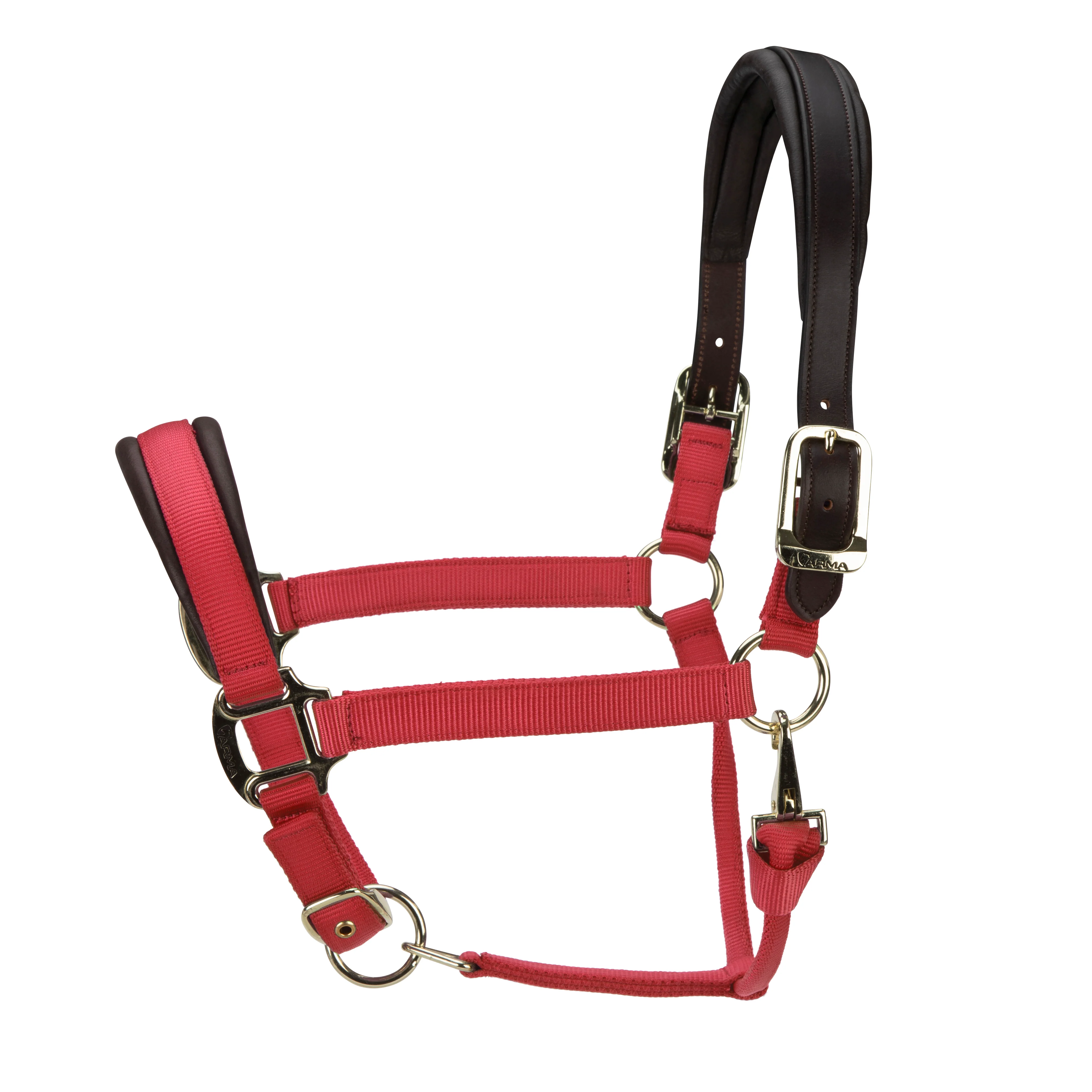 ARMA Premium Nylon Halter with Leather Padding - Image 9