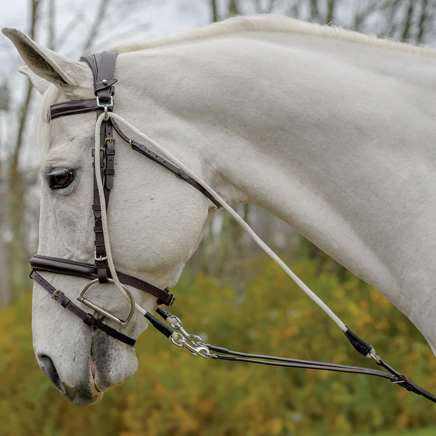 Avignon De Gogue Training Aid