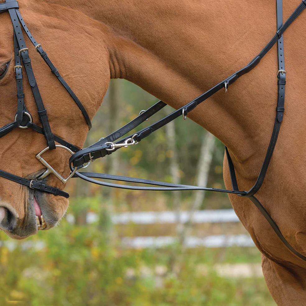 German Martingale