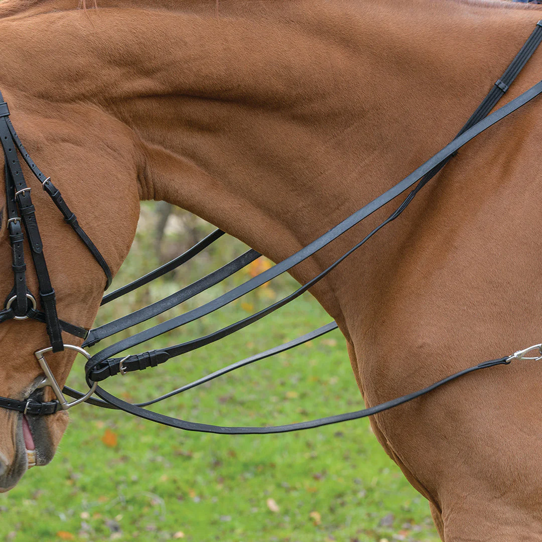 Avignon Leather Draw Reins