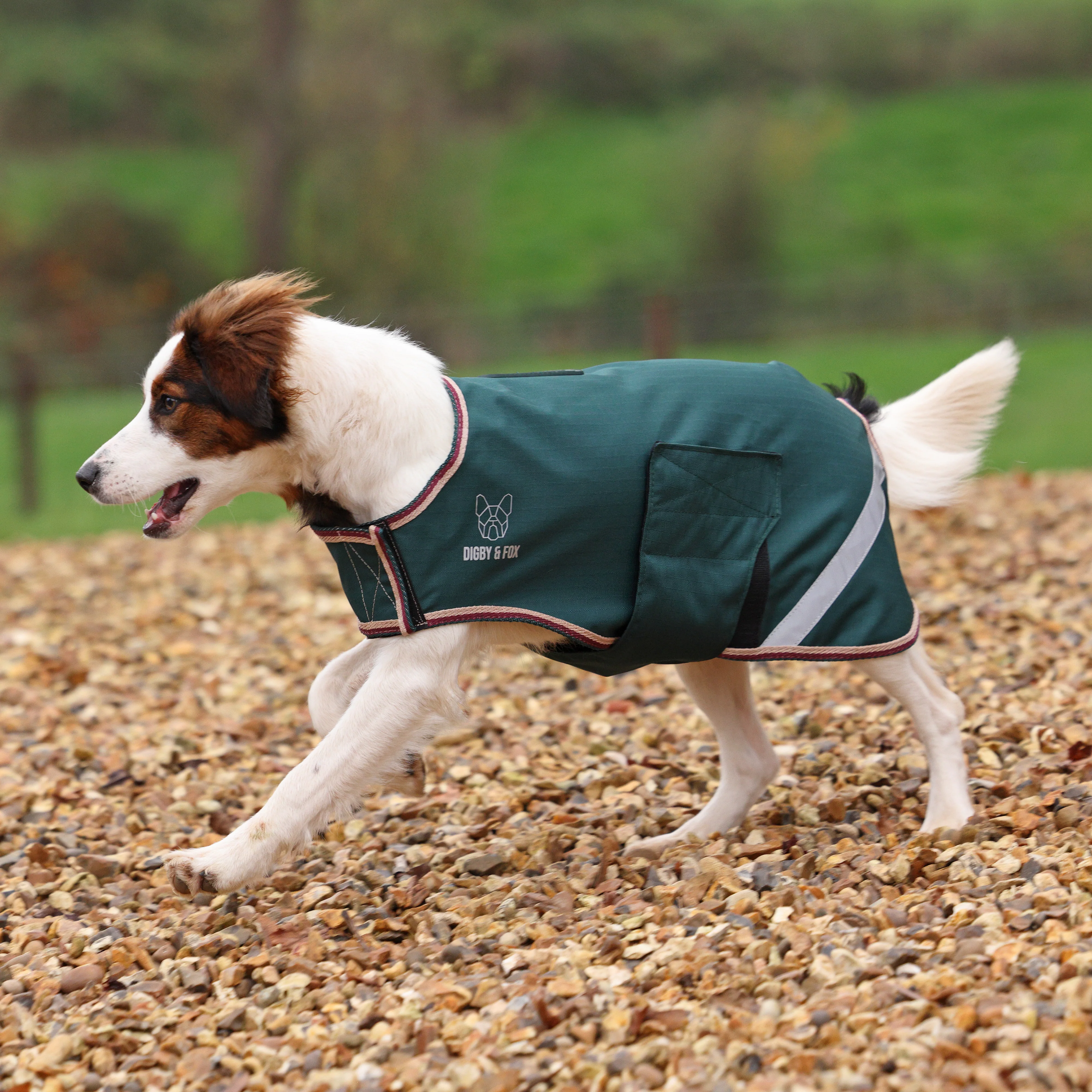 Digby & Fox Lite Waterproof Dog Coat - Image 2
