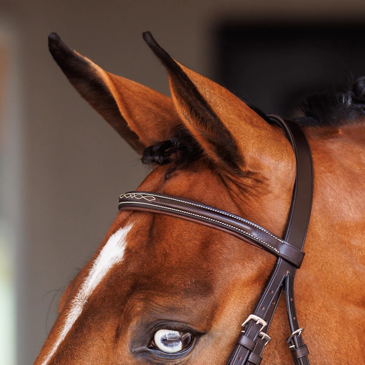 Fancy Raised Padded Figure 8 Bridle with Fancy Raised Rubber Reins - Image 3