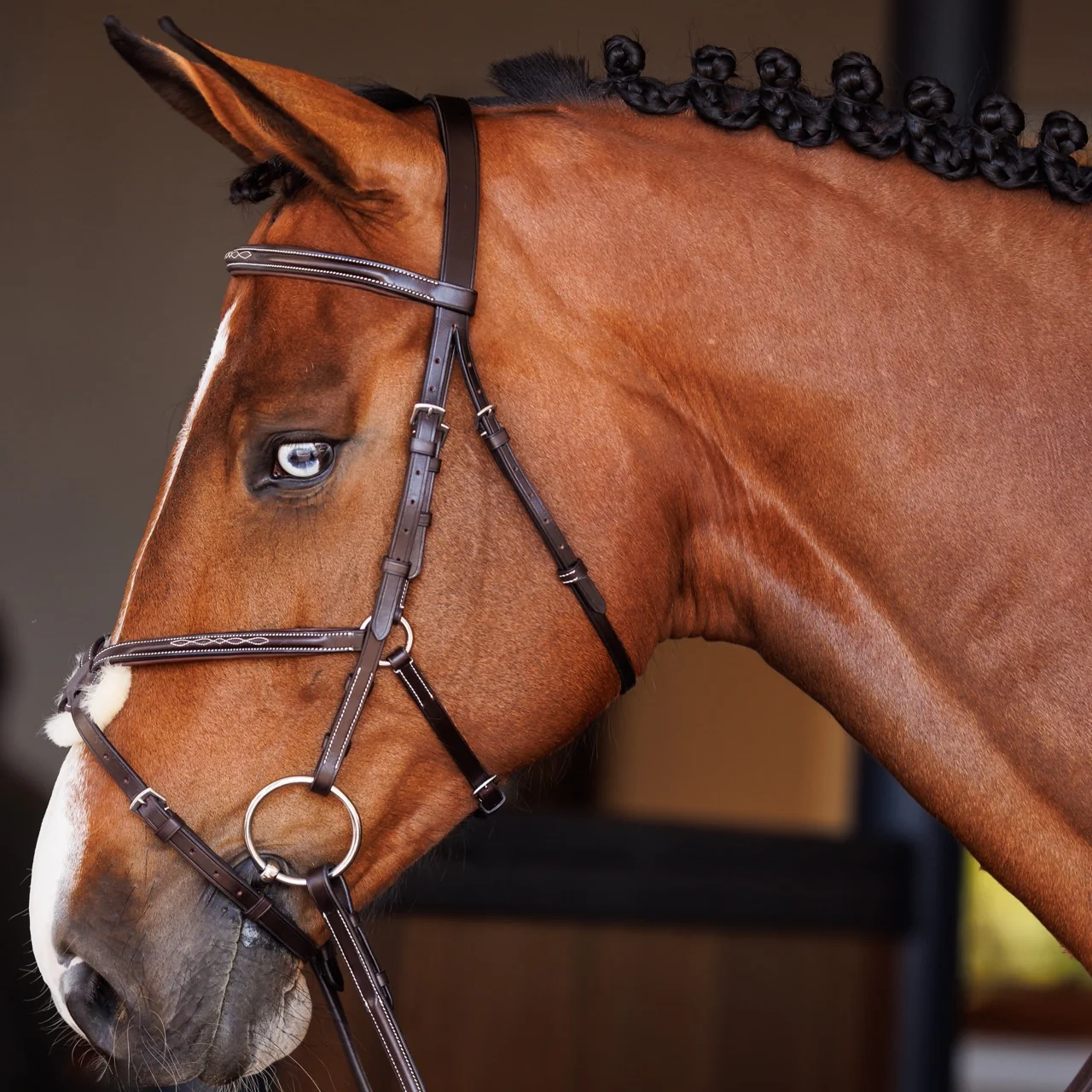 Fancy Raised Padded Figure 8 Bridle with Fancy Raised Rubber Reins - Image 4
