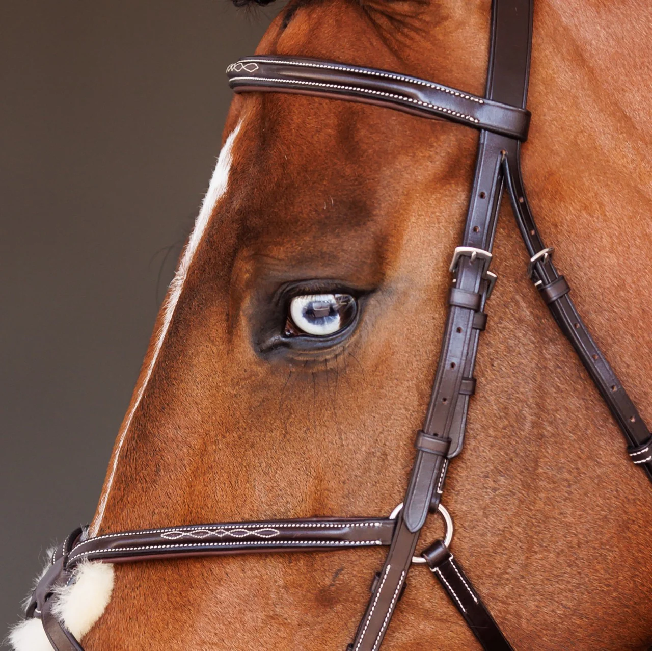 Fancy Raised Padded Figure 8 Bridle with Fancy Raised Rubber Reins - Image 5
