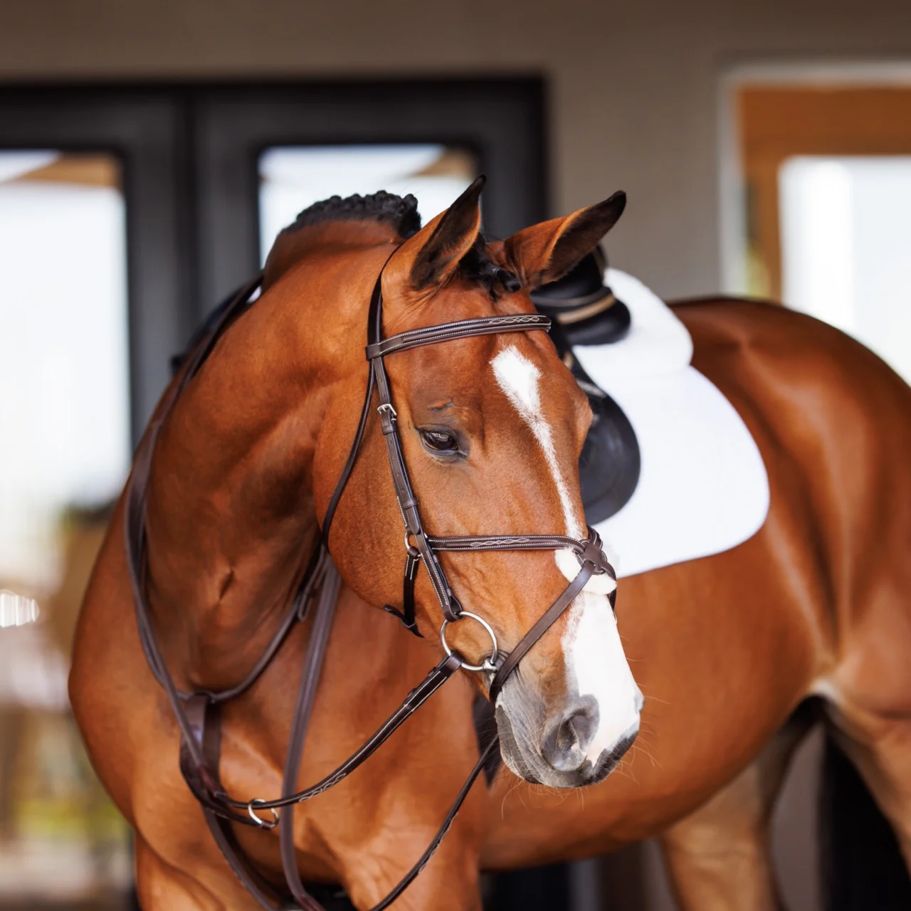Fancy Raised Rubber Reins - Image 2