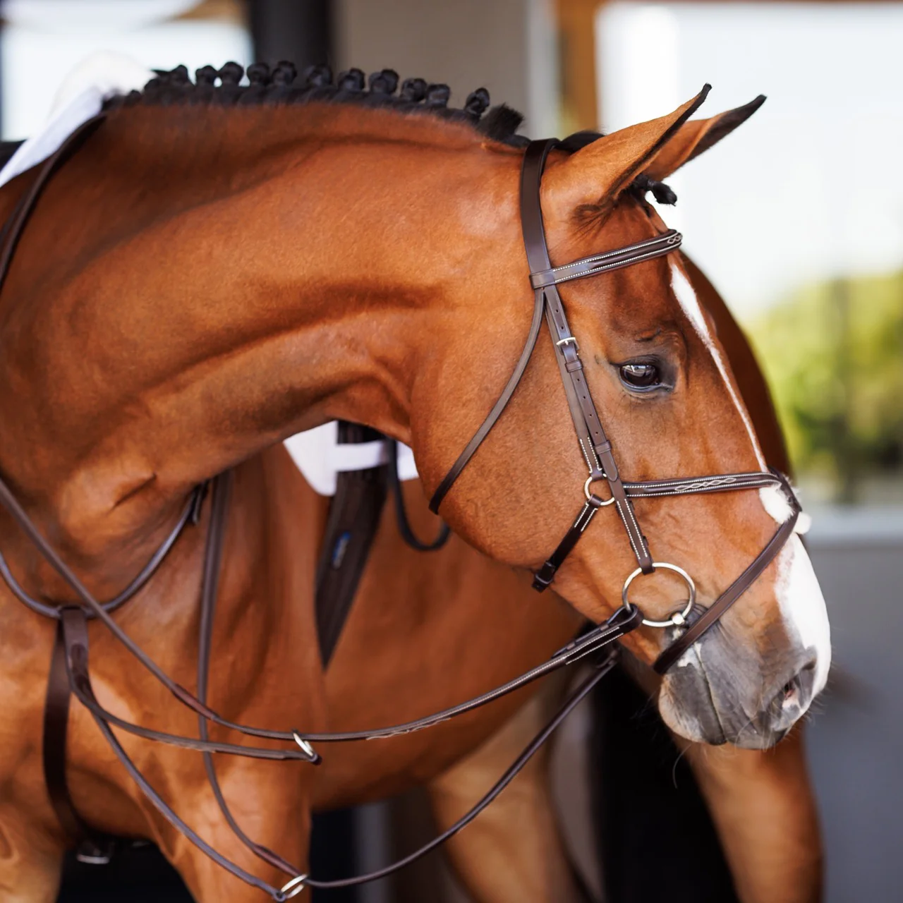 Fancy Raised Rubber Reins - Image 3