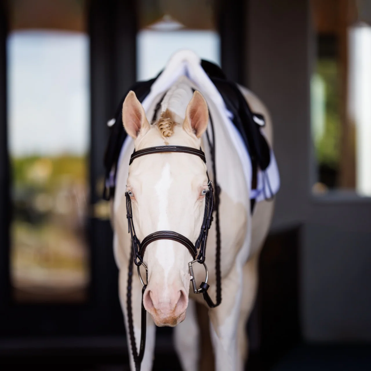 Fancy Square Raised Laced Reins - Image 2
