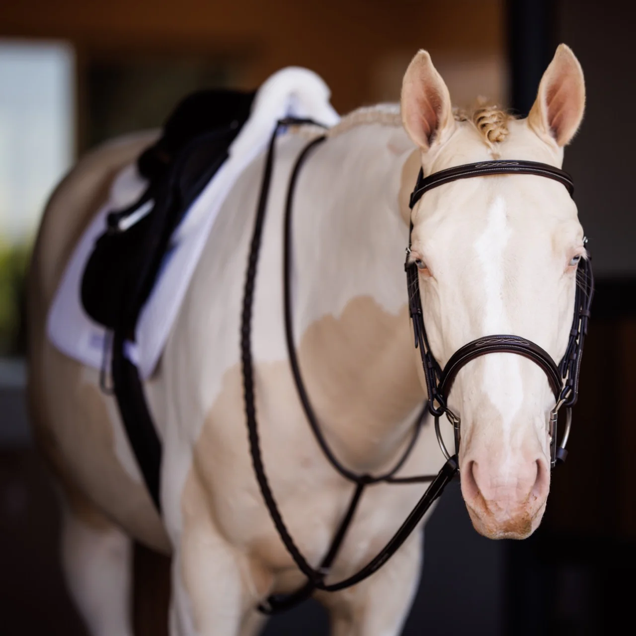 Fancy Square Raised Padded Bridle with Fancy Square Laced Reins - Image 3