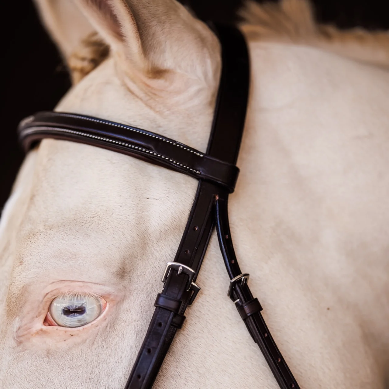 Fancy Square Raised Padded Bridle with Fancy Square Laced Reins - Image 4