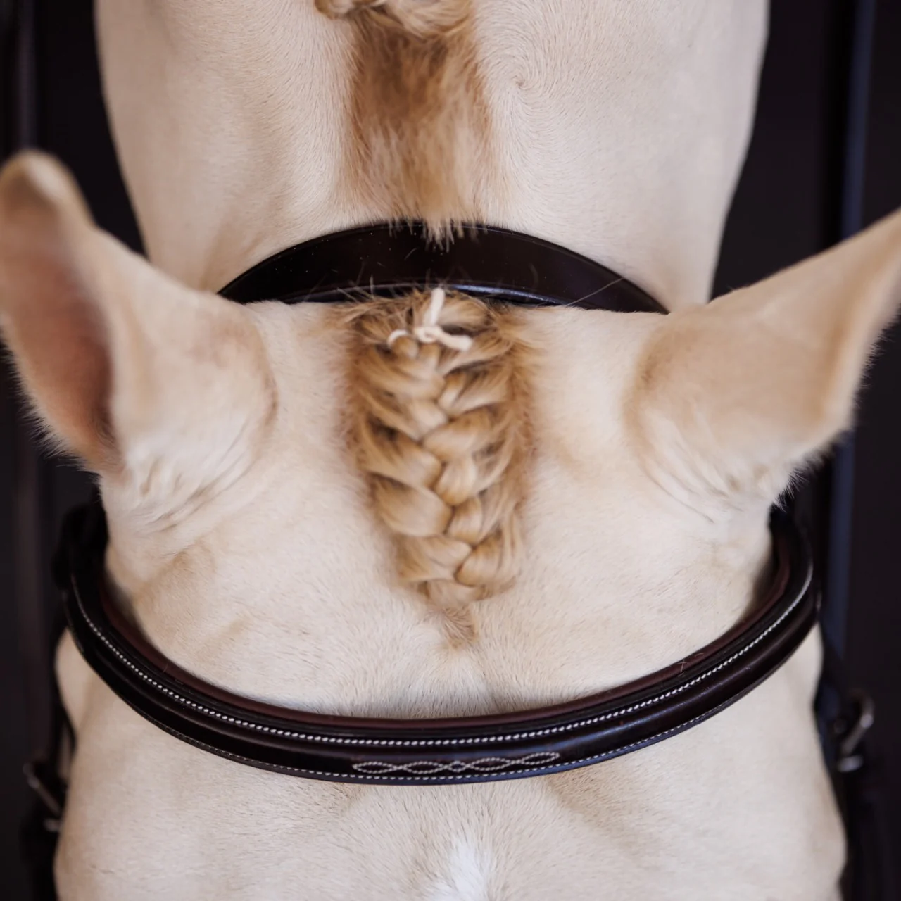 Fancy Square Raised Padded Bridle with Fancy Square Laced Reins - Image 5
