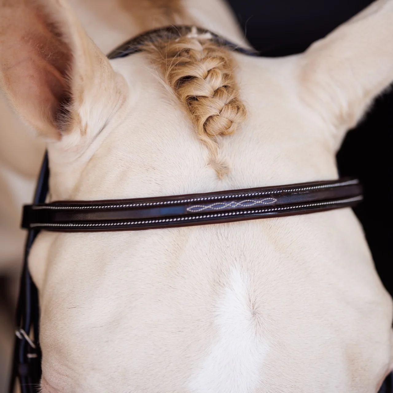 Fancy Square Raised Padded Bridle with Fancy Square Laced Reins - Image 6
