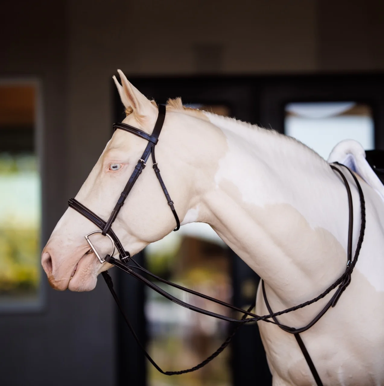 Fancy Square Raised Padded Bridle with Fancy Square Laced Reins - Image 7