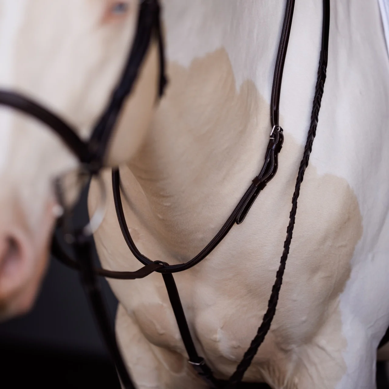 Fancy Square Raised Standing Martingale - Image 2