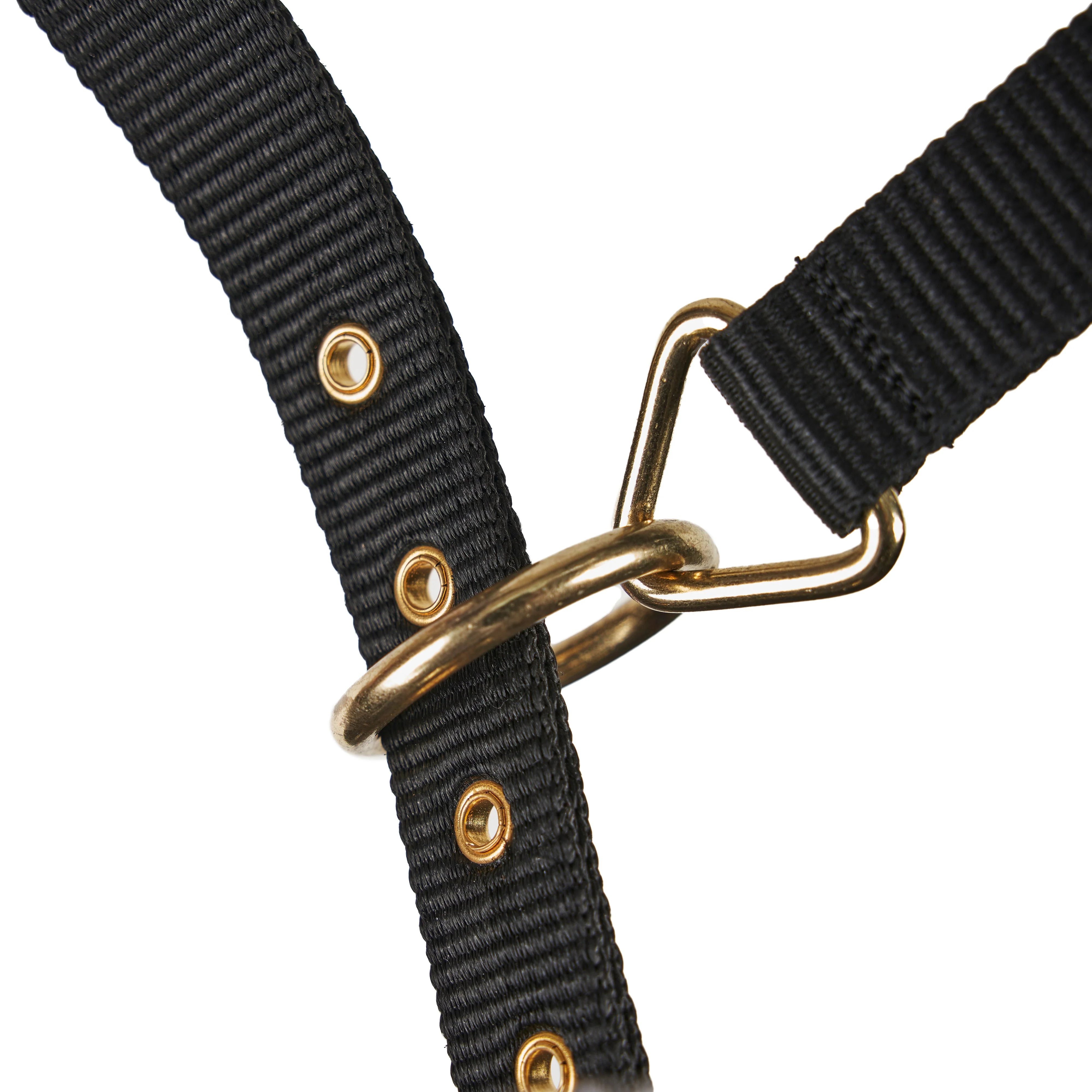 Fleece Lined Lunge Cavesson - Image 5