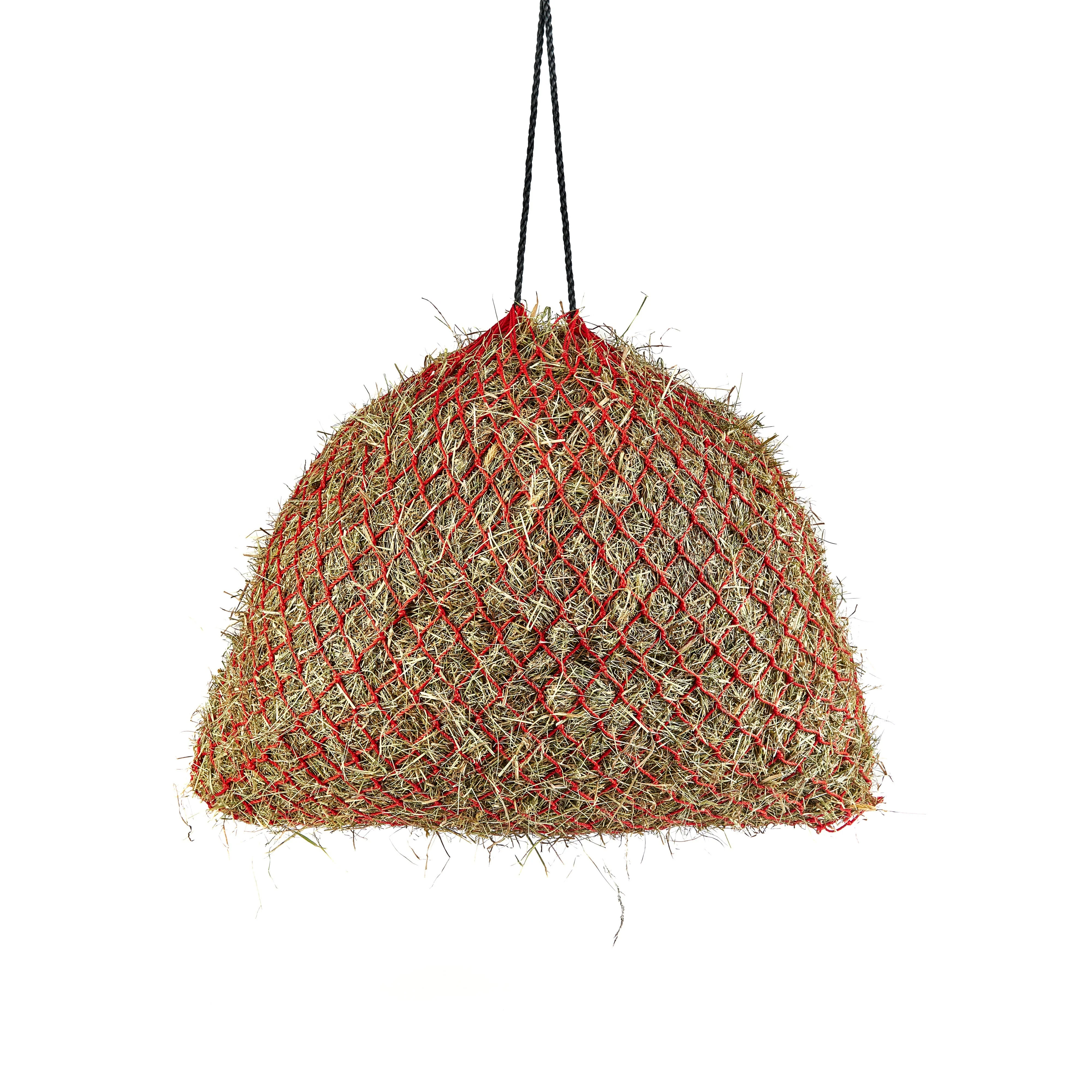 Greedy Feeder Net - Image 3