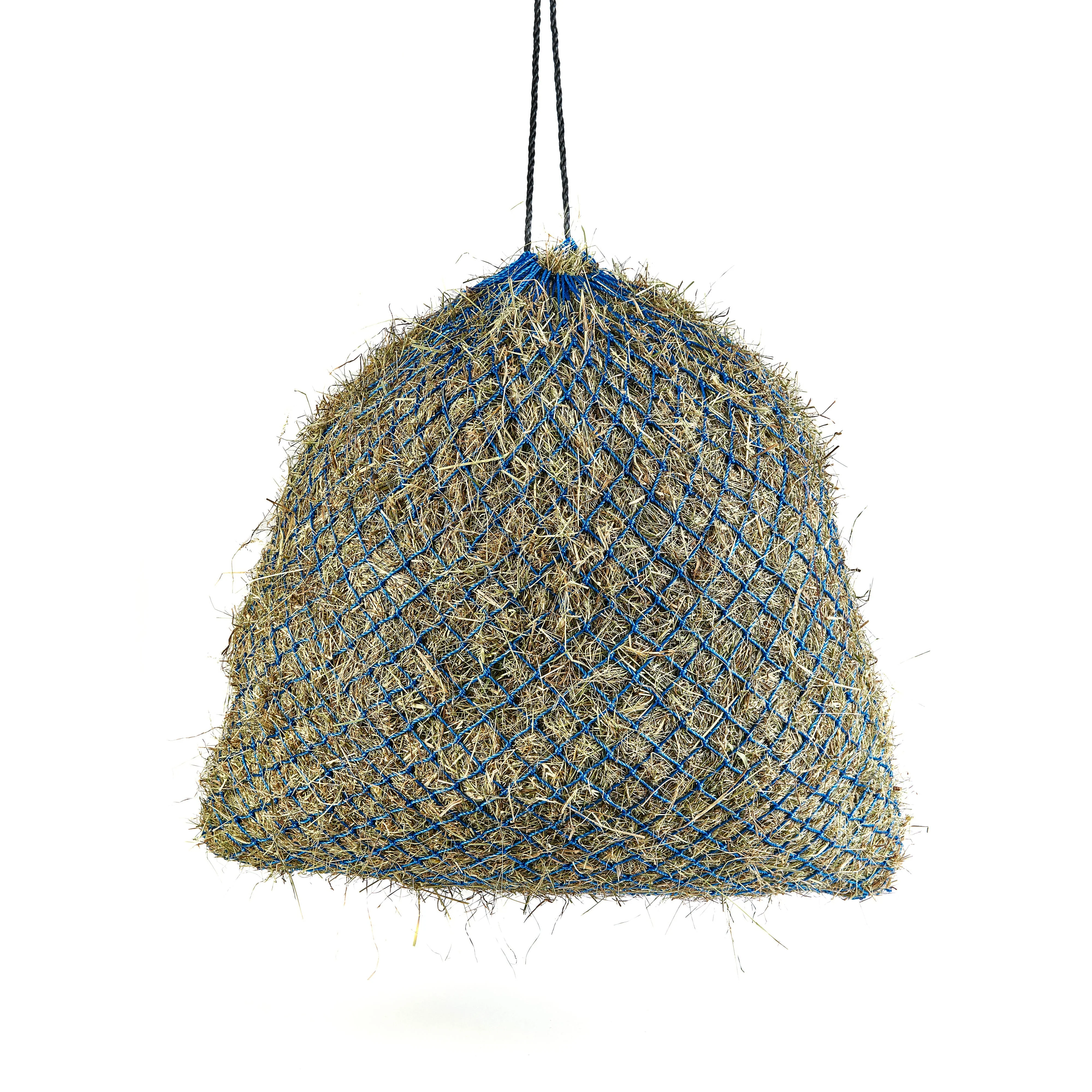 Greedy Feeder Net - Image 4
