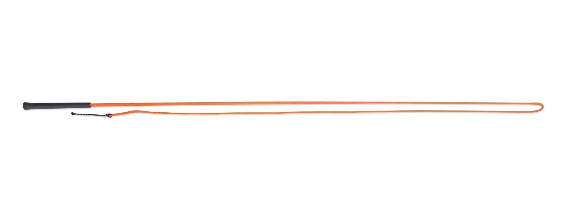 Lunging Whip - Image 5