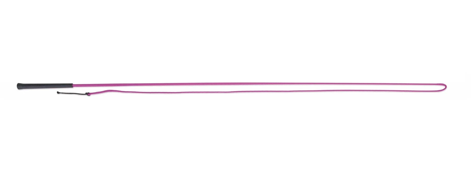 Lunging Whip - Image 7
