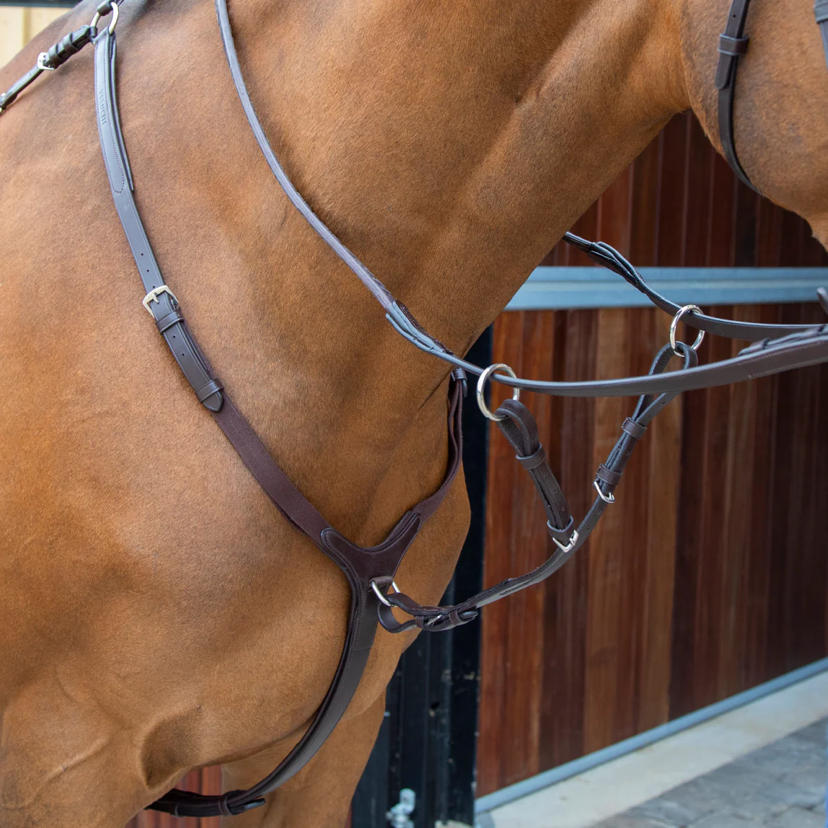 Lusso Breastplate - Image 2