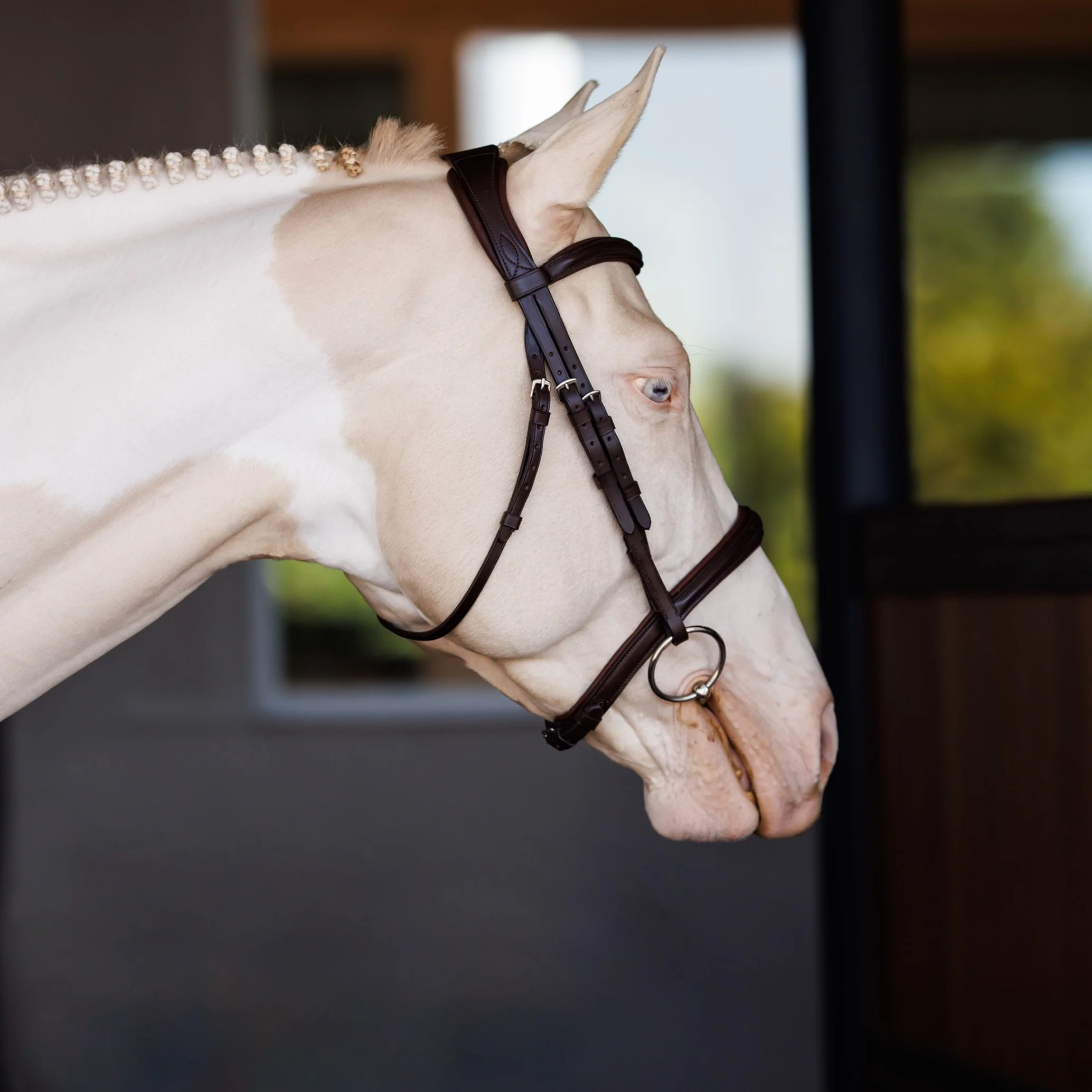 Lusso Raised Padded Bridle - Image 3