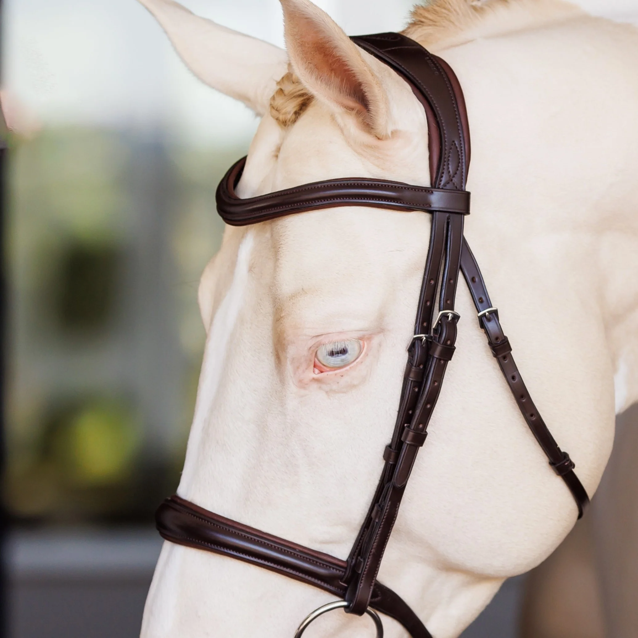 Lusso Raised Padded Bridle - Image 4