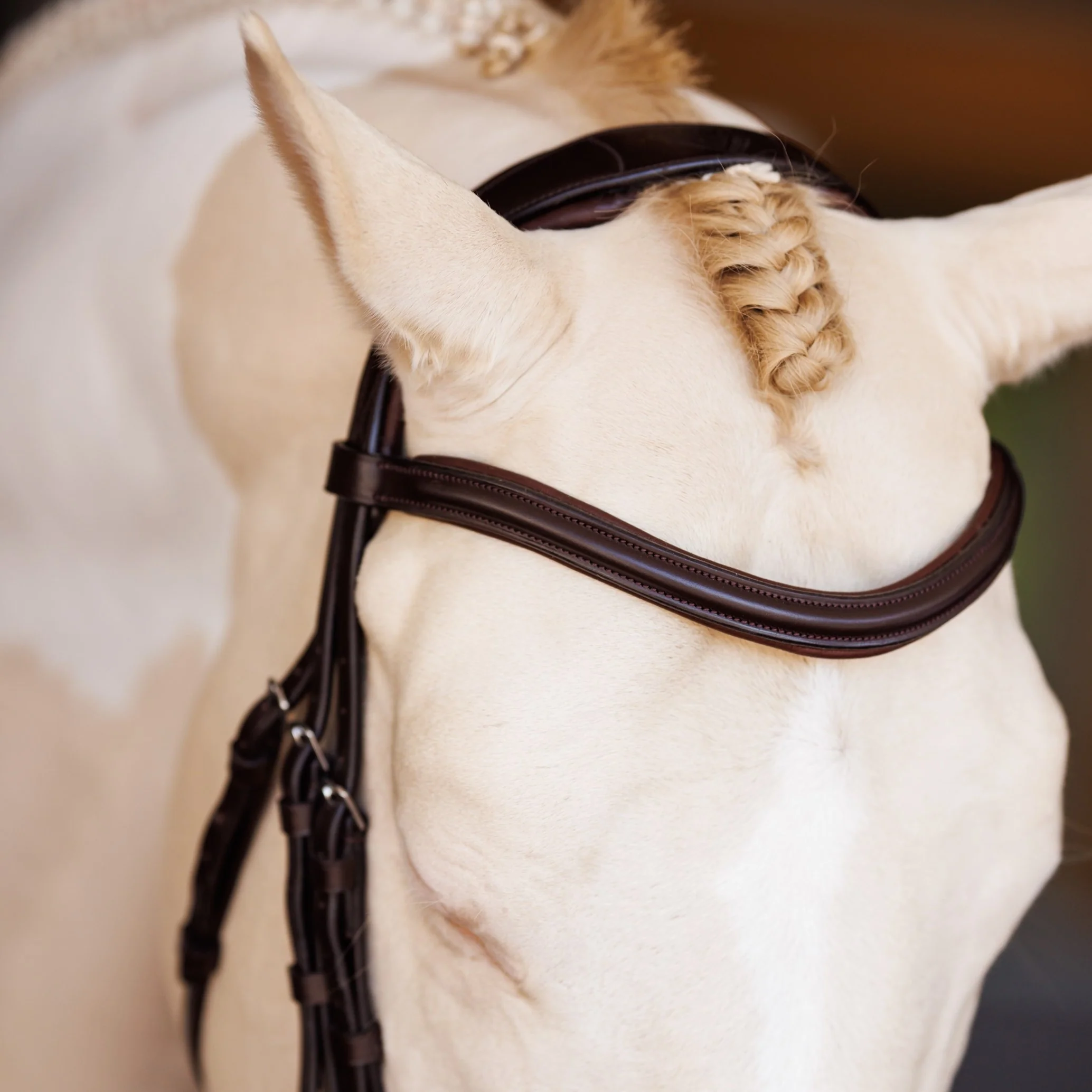 Lusso Raised Padded Bridle - Image 5