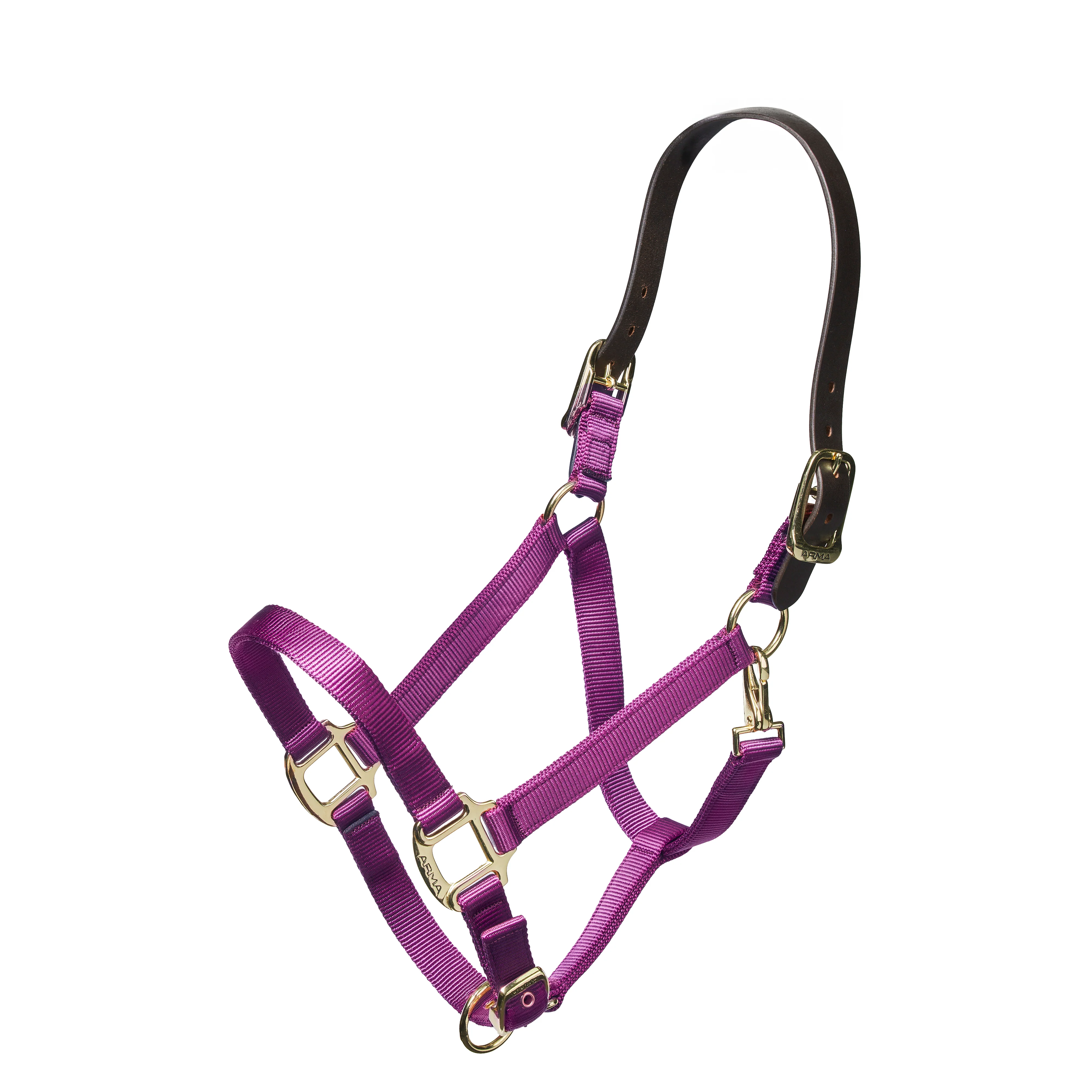 Nylon Halter With Leather Head Strap - Image 4