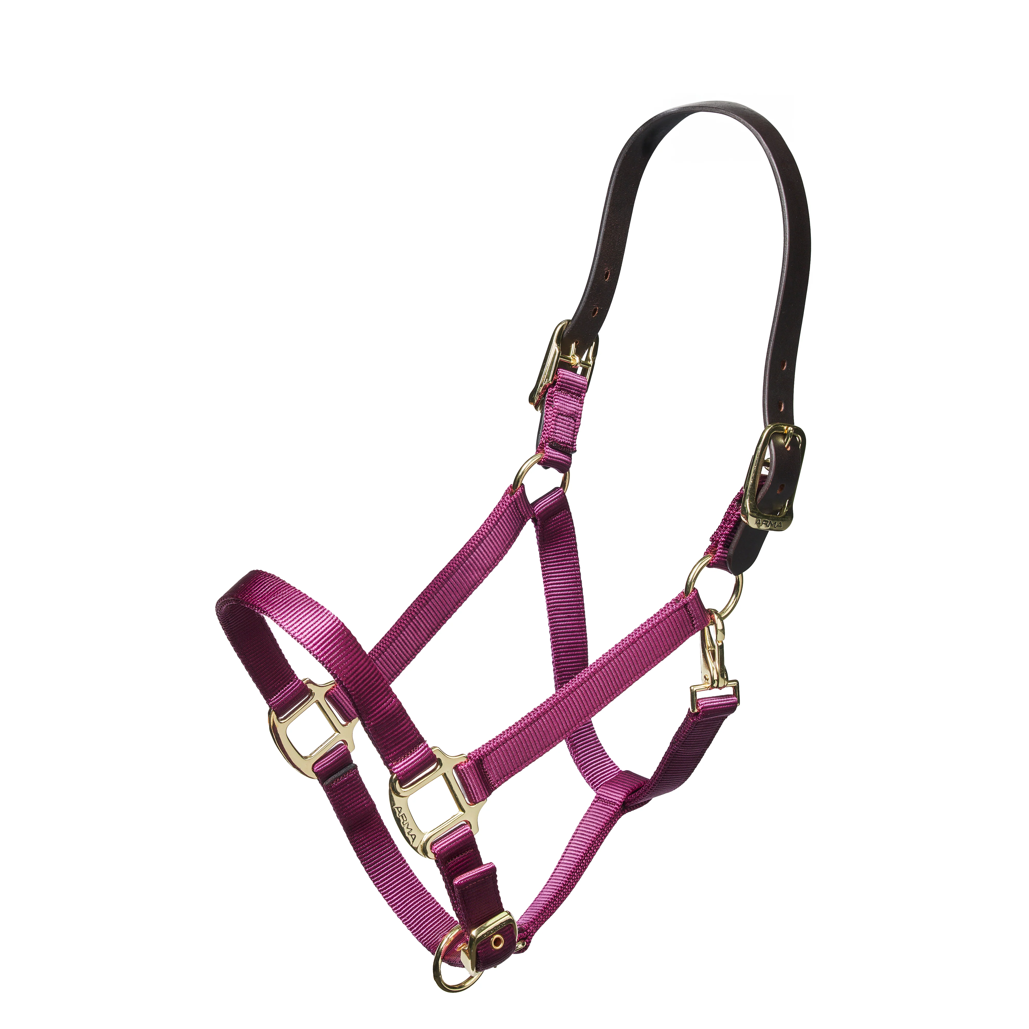 Nylon Halter With Leather Head Strap - Image 8