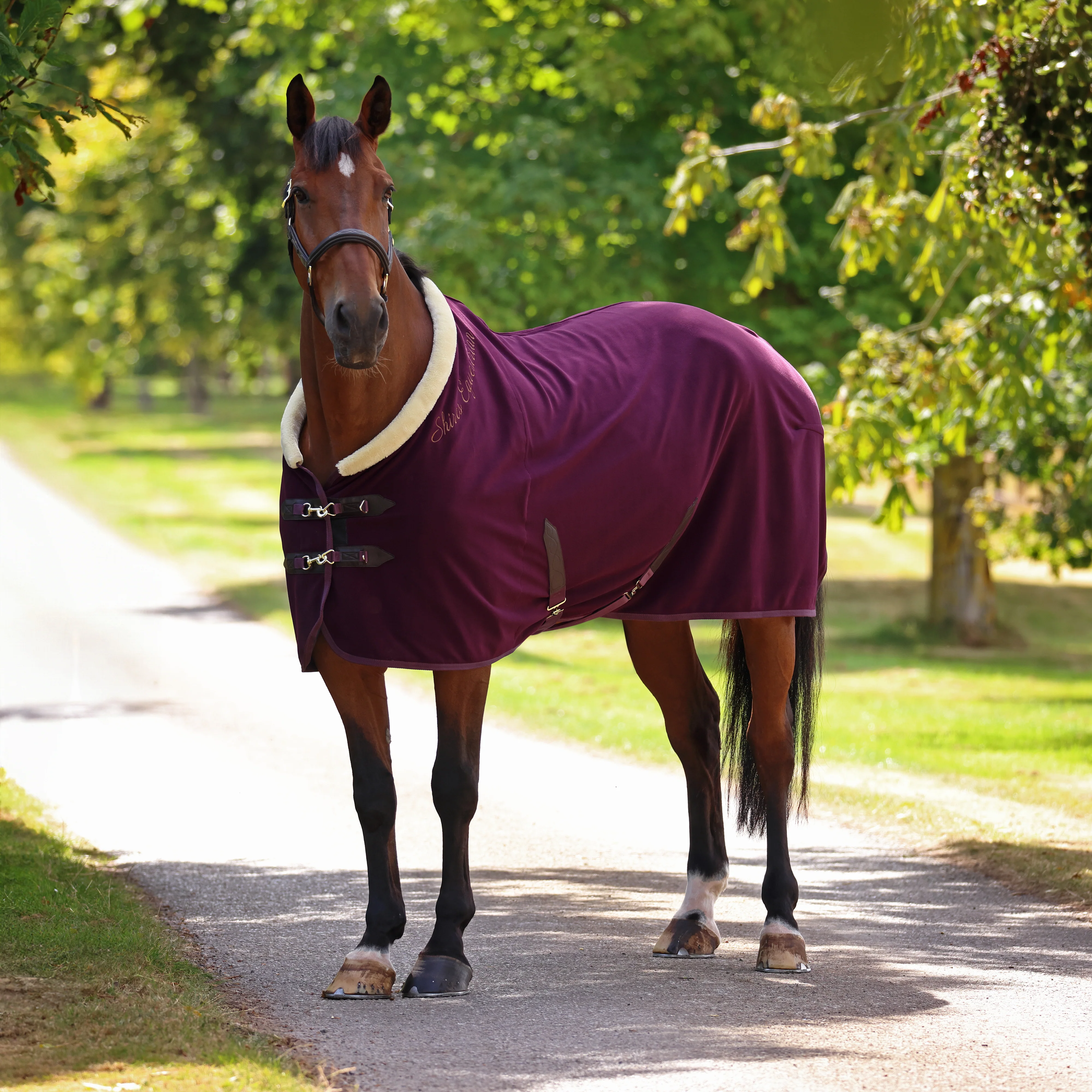 Shires Deluxe Fleece Rug - Image 3