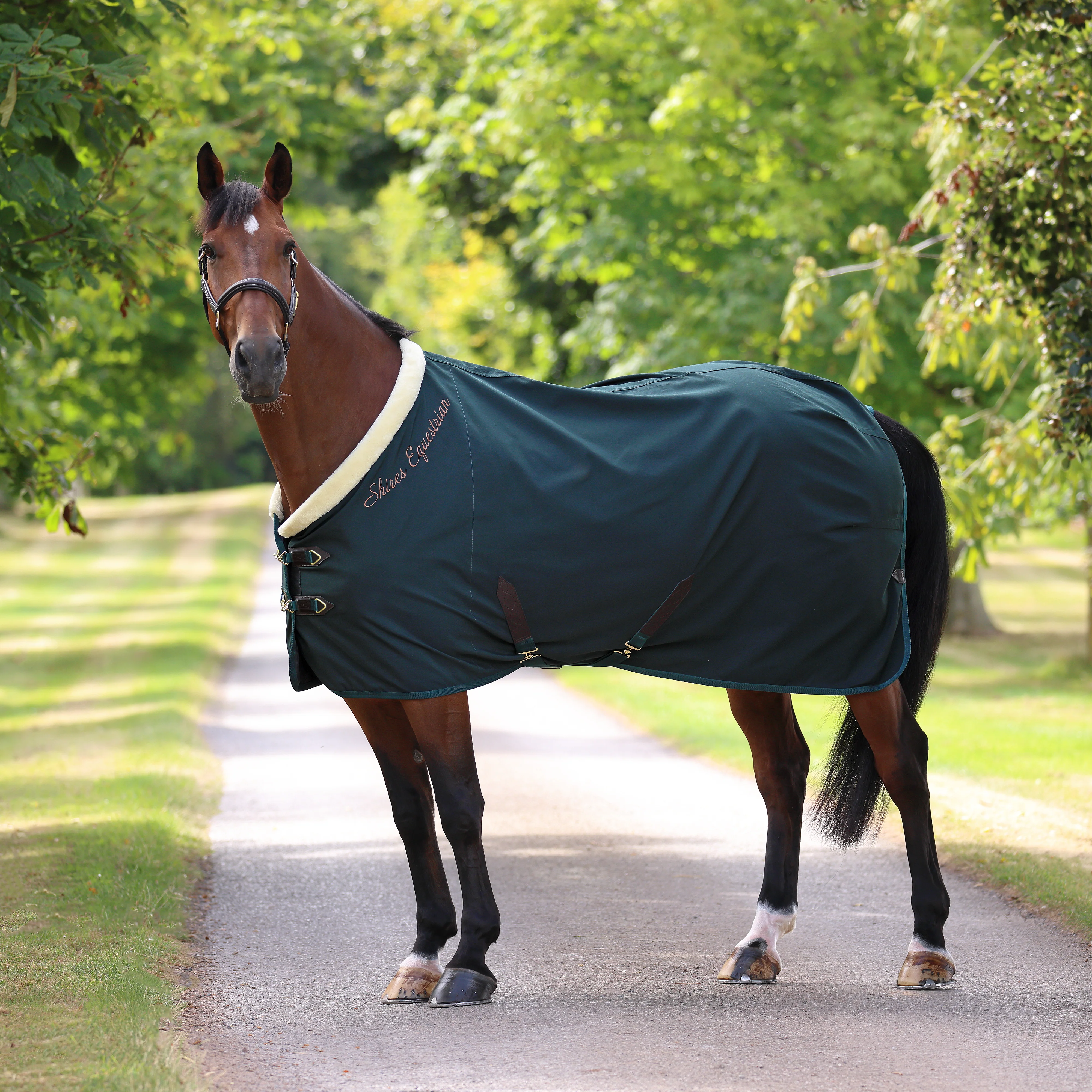 Shires Deluxe Stable Sheet - Image 3