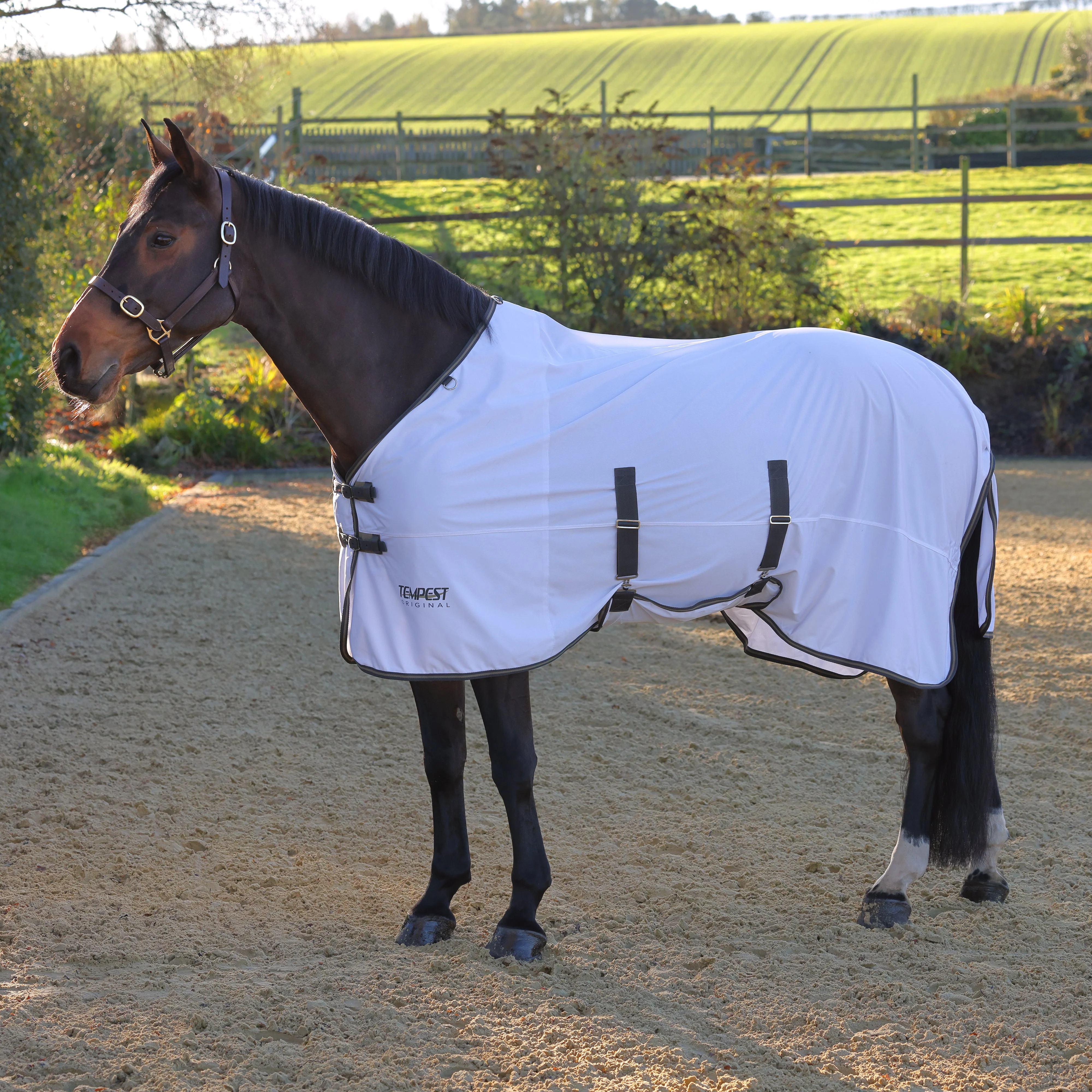 Tempest Original Standard Neck Fly Sheet