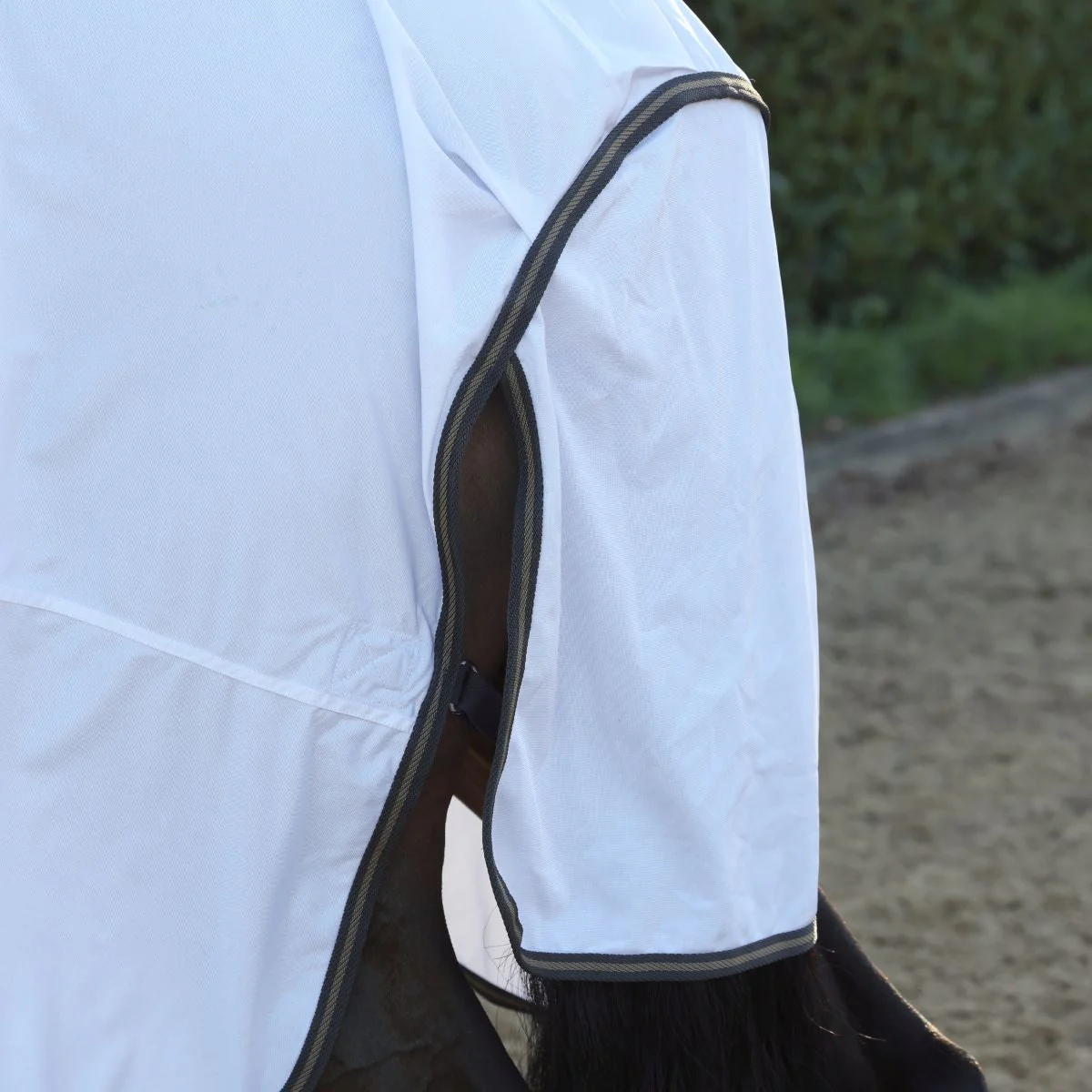 Tempest Original Standard Neck Fly Sheet - Image 4