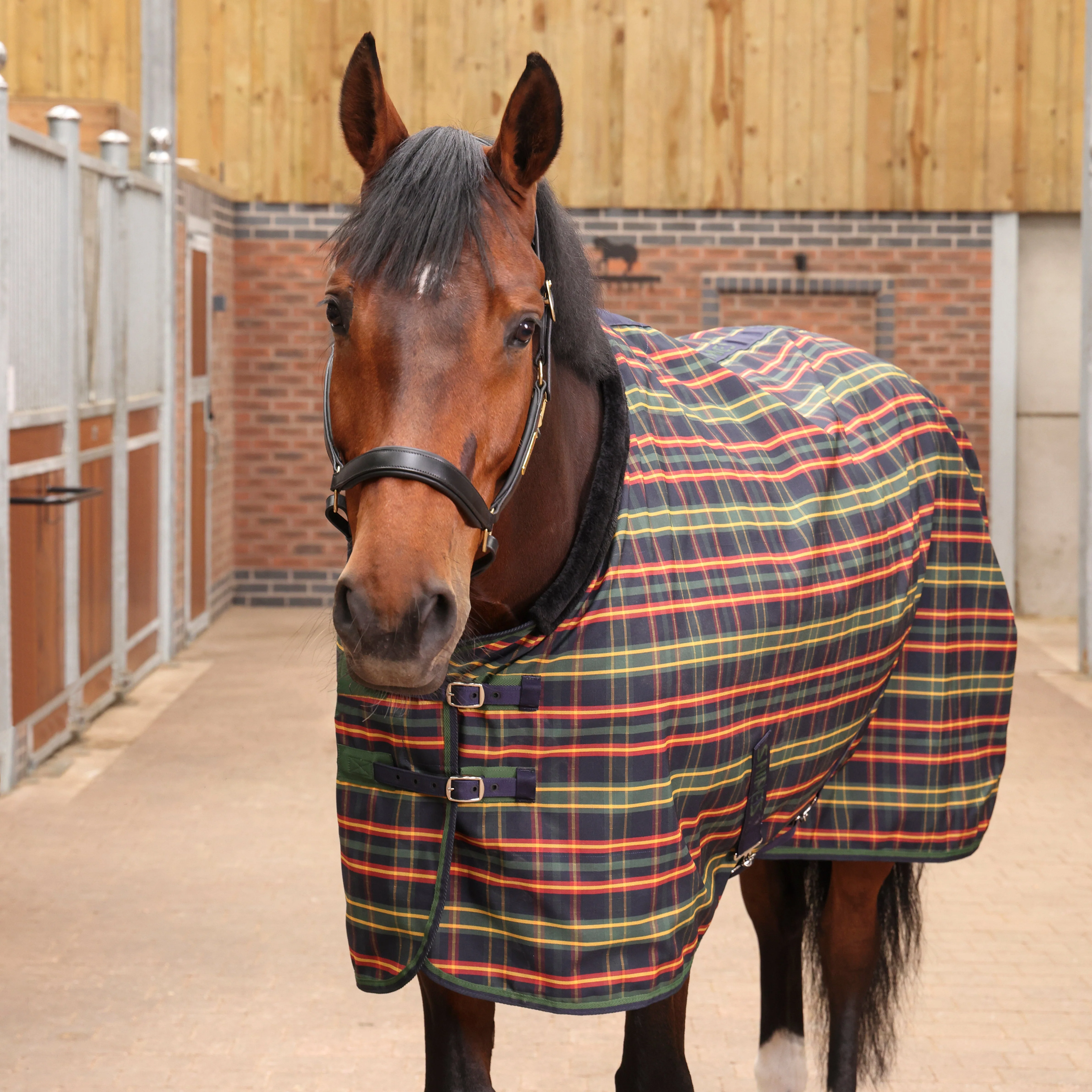 Tempest Plus Lite Stable Blanket - Image 3