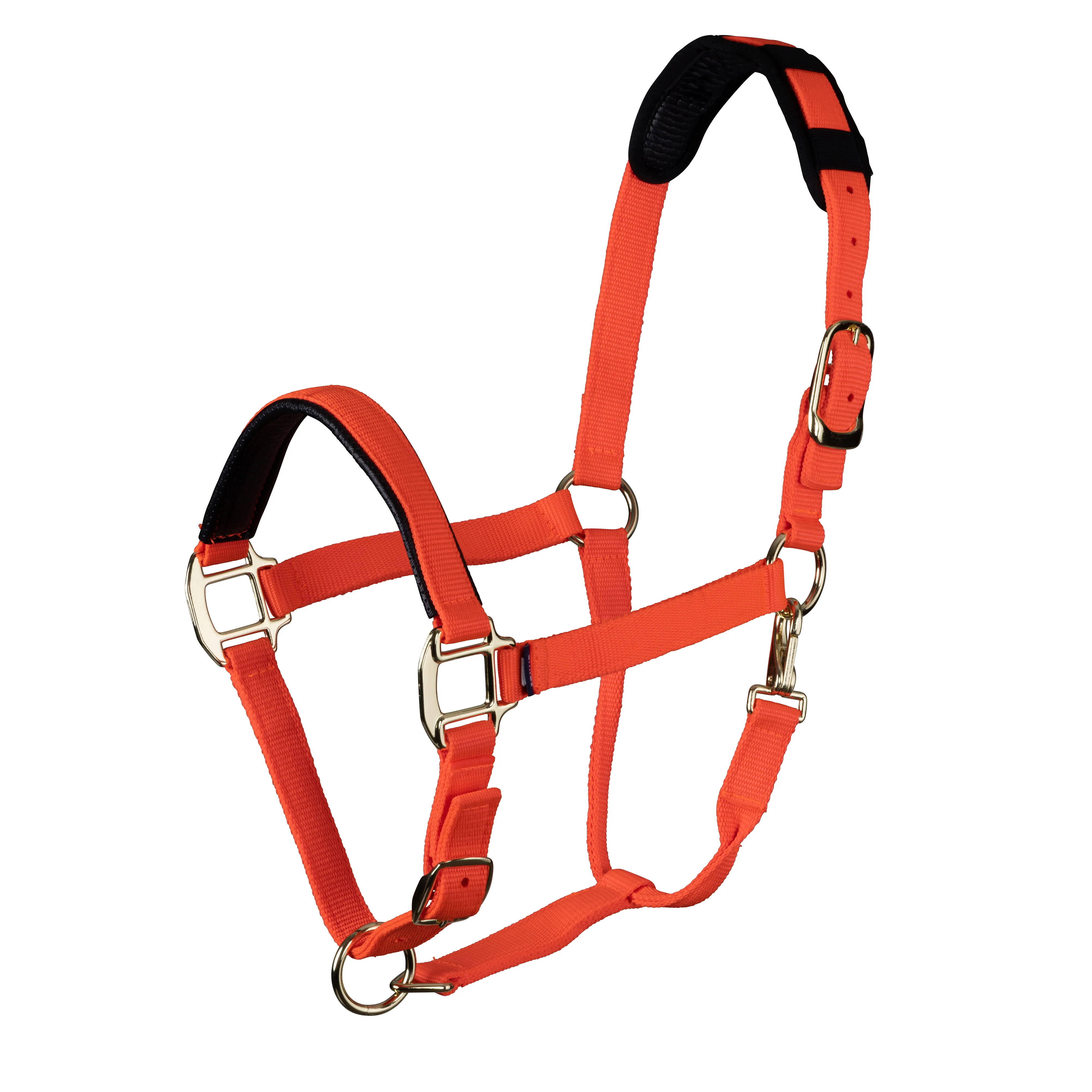 Topaz Leather Breakaway Nylon Headcollar - Image 9