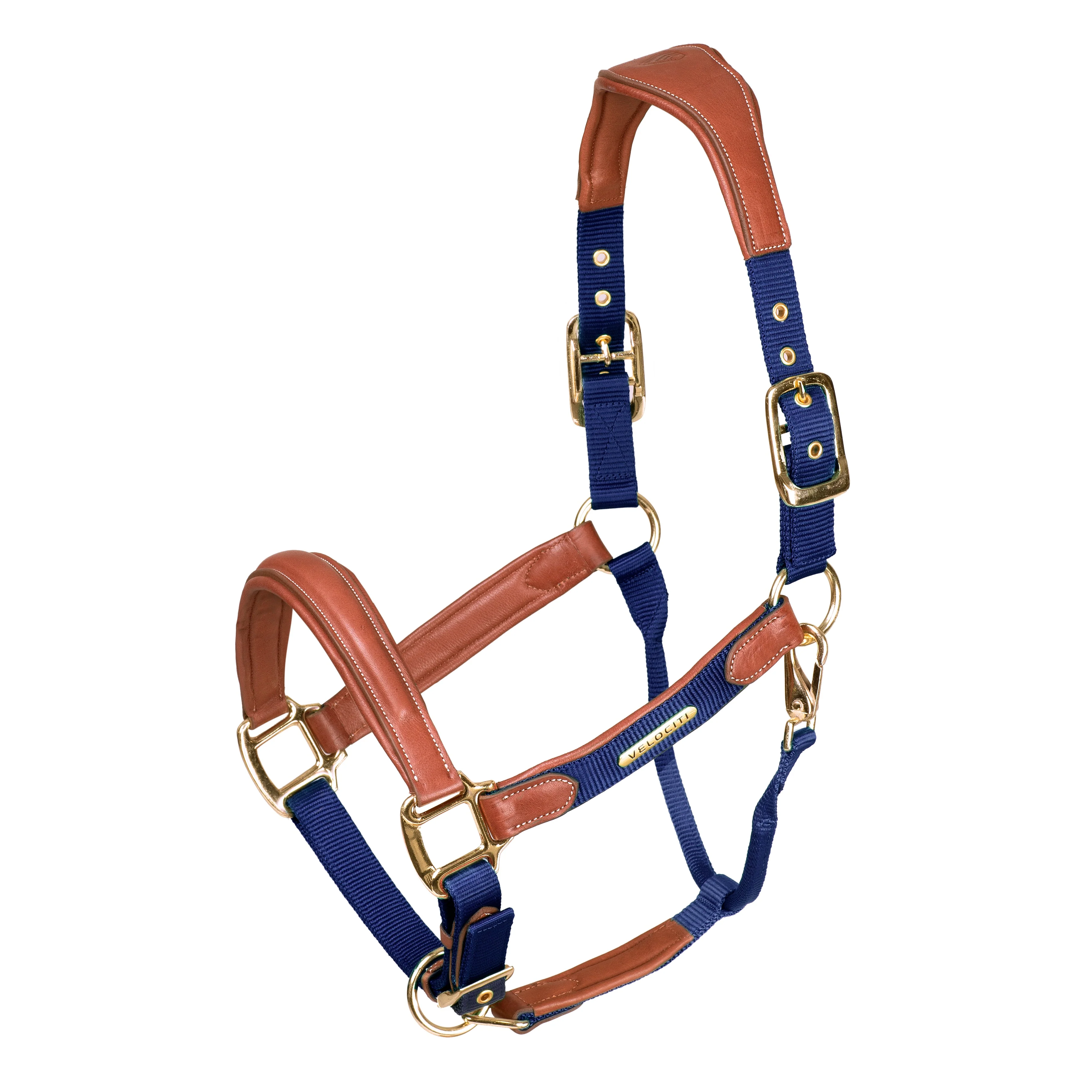 Velociti Lusso Padded Leather Halter with Breakaway - Image 5