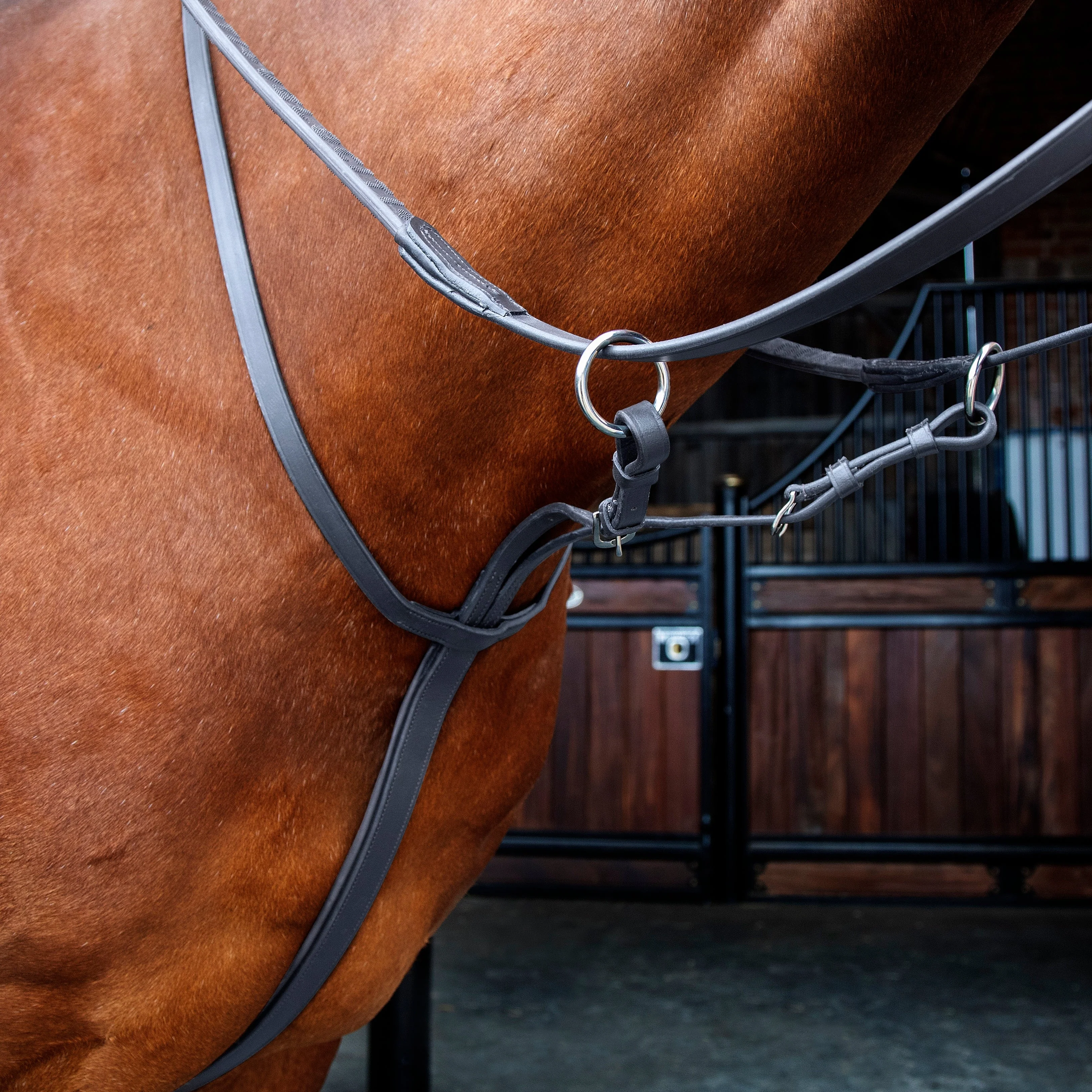 Velociti RAPIDA Running Martingale