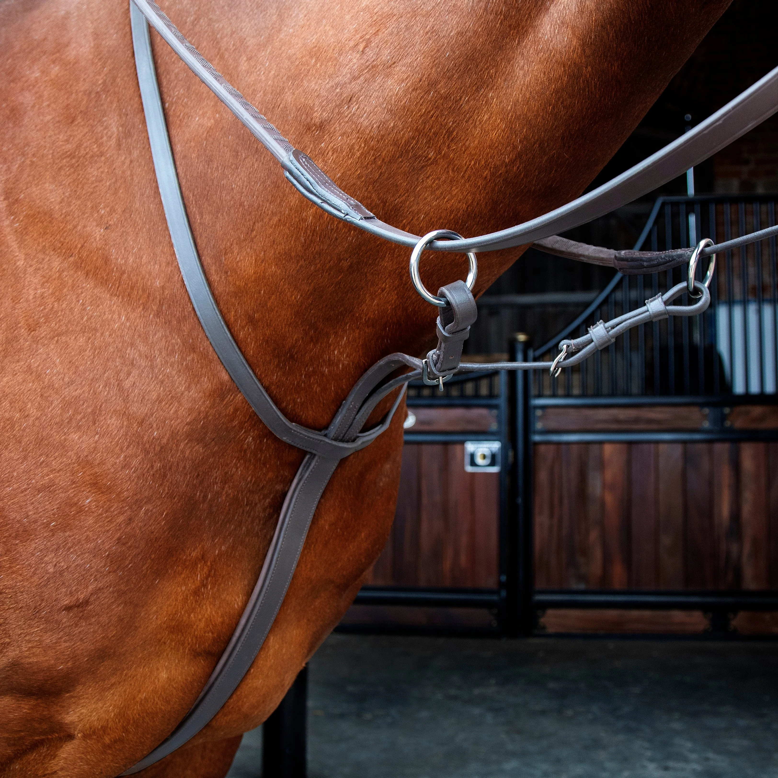 Velociti RAPIDA Running Martingale - Image 2